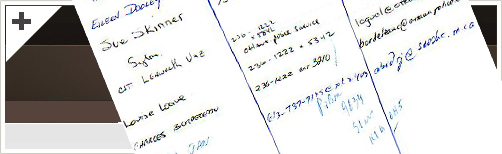 The First Steering Committee Meeting