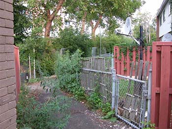 Banff community cpted